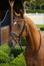 Cargar imagen en el visor de la galería, Cabezada Golden Caballier
