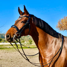 Cargar imagen en el visor de la galería, Cabezada Doma Total Black

